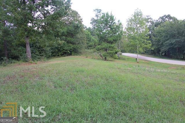 334 Edgewater Trail South Toccoa, GA 30577 - Photo 2 of 13