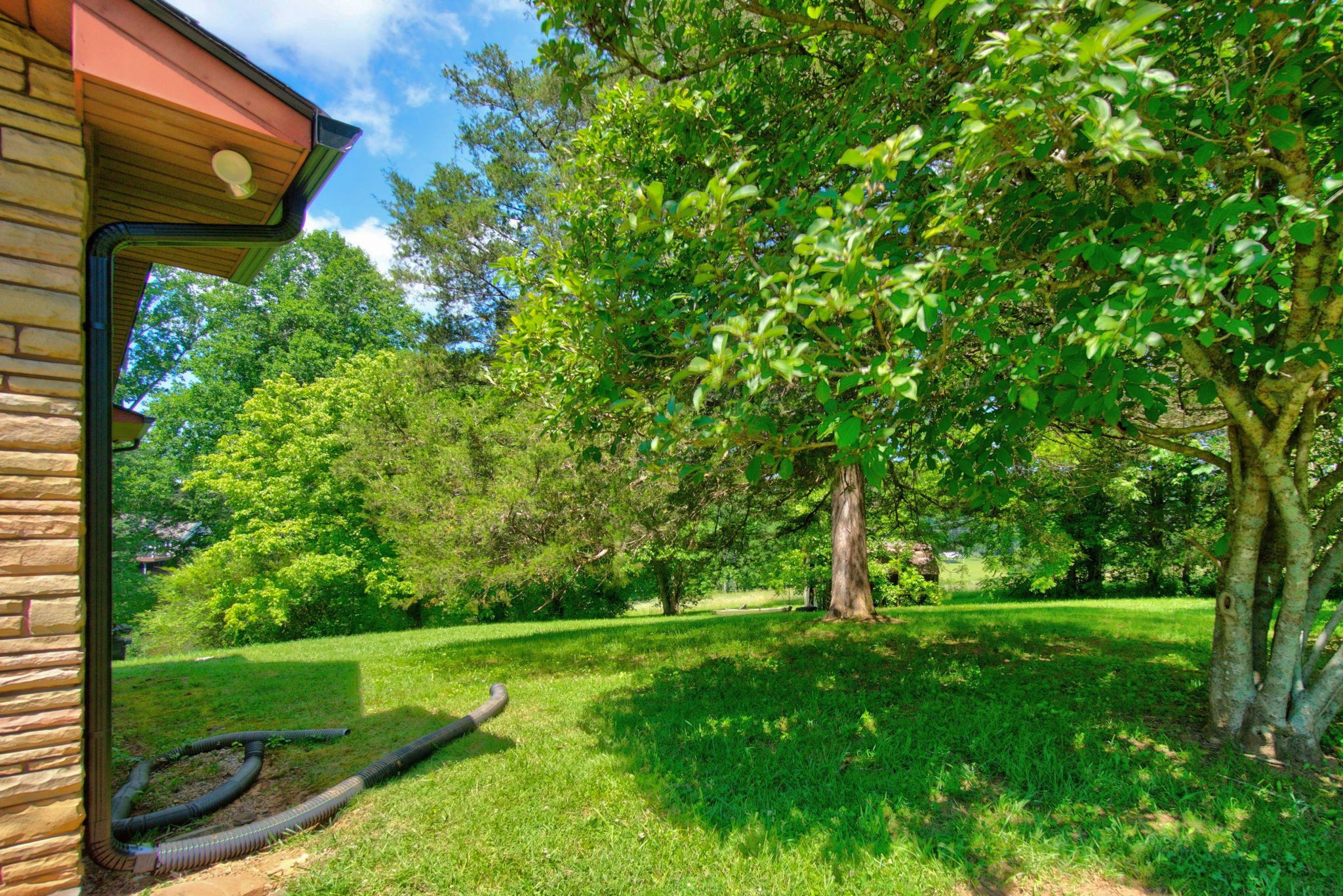 2584 Ditty Road Cookeville, TN 38506 - Photo 36 of 44