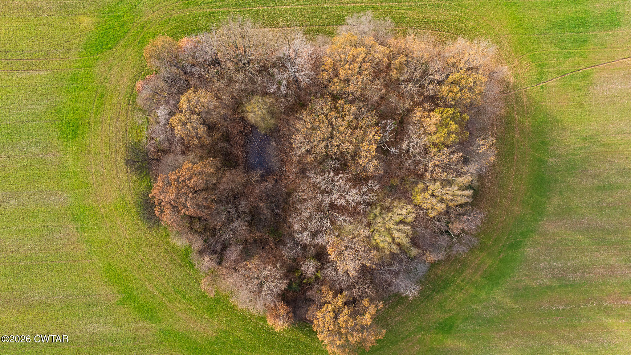0 New Hope Road Dyer, TN 38330 - Photo 7 of 16 a close up of a bathroom sink