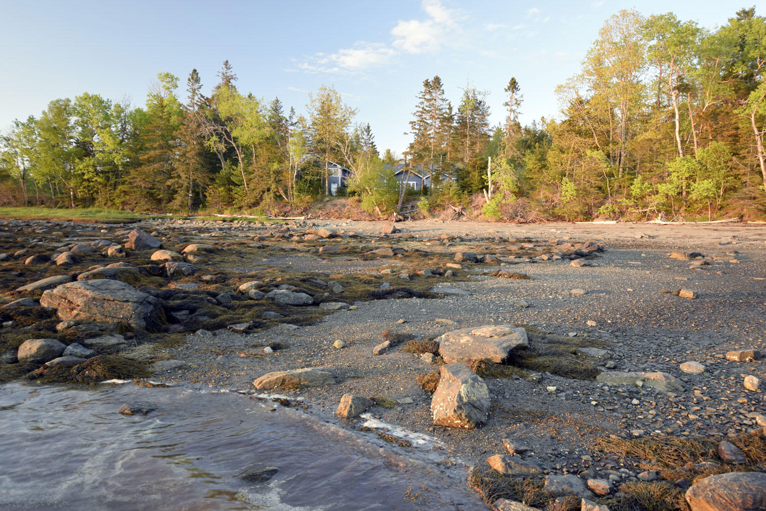 827 Bayside Road Ellsworth, ME 04605 - Photo 15 of 82 shore 2