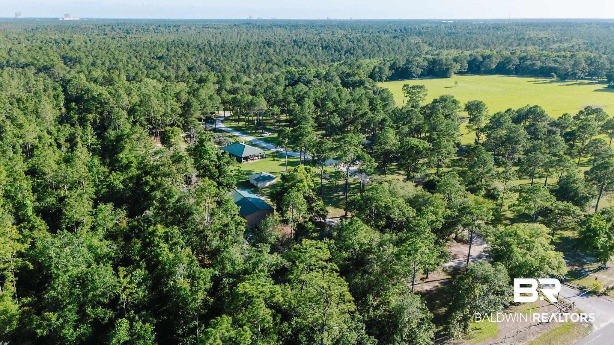 7872 Calverton Street Foley, AL 36535 - Photo 72 of 76 Expansive property featuring dense mature trees and a substantial open field