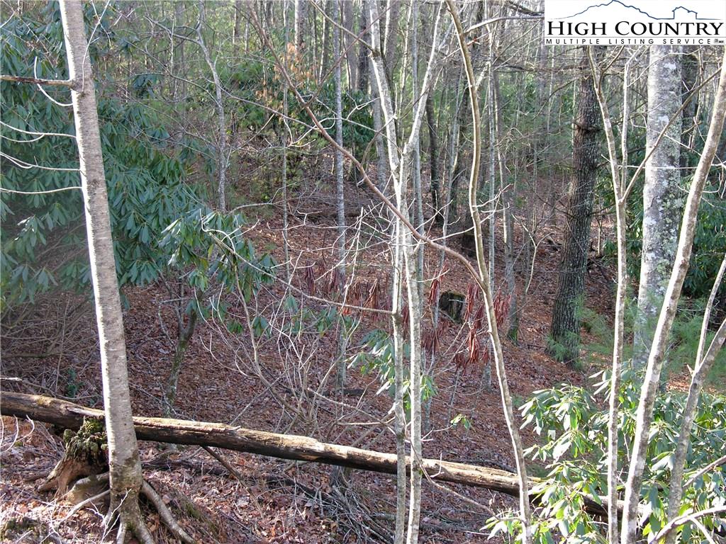 23 Country Ridge Road Road Jefferson, NC 28640 - Photo 3 of 6 Gallery Image 3