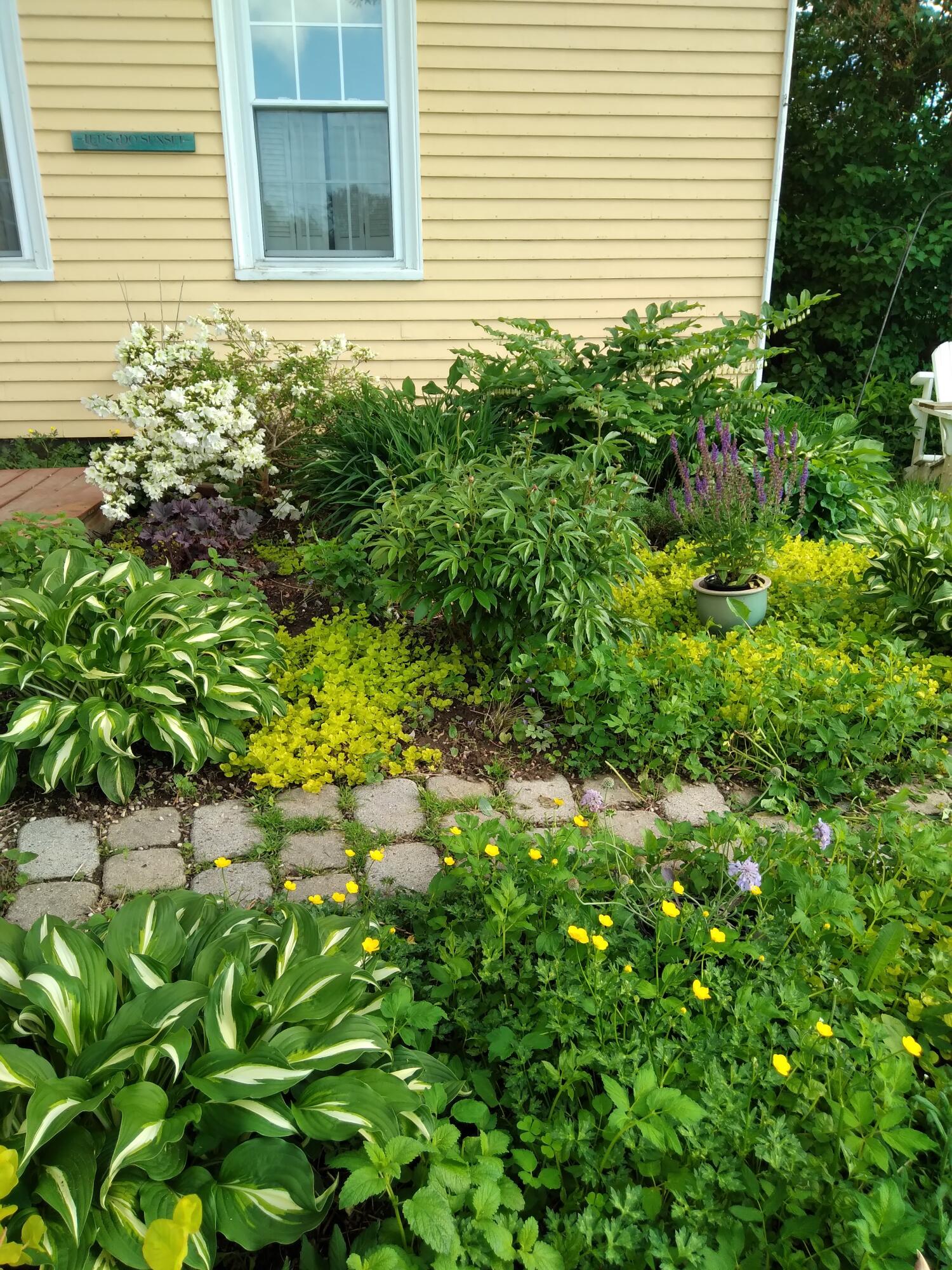 389 Higgins Road Pittsfield, ME 04967 - Photo 81 of 82 20240528_171306