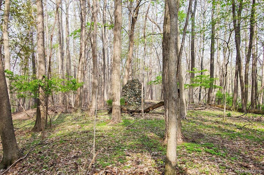 Vac Locust Street Farmington, MI 48331 - Photo 6 of 20