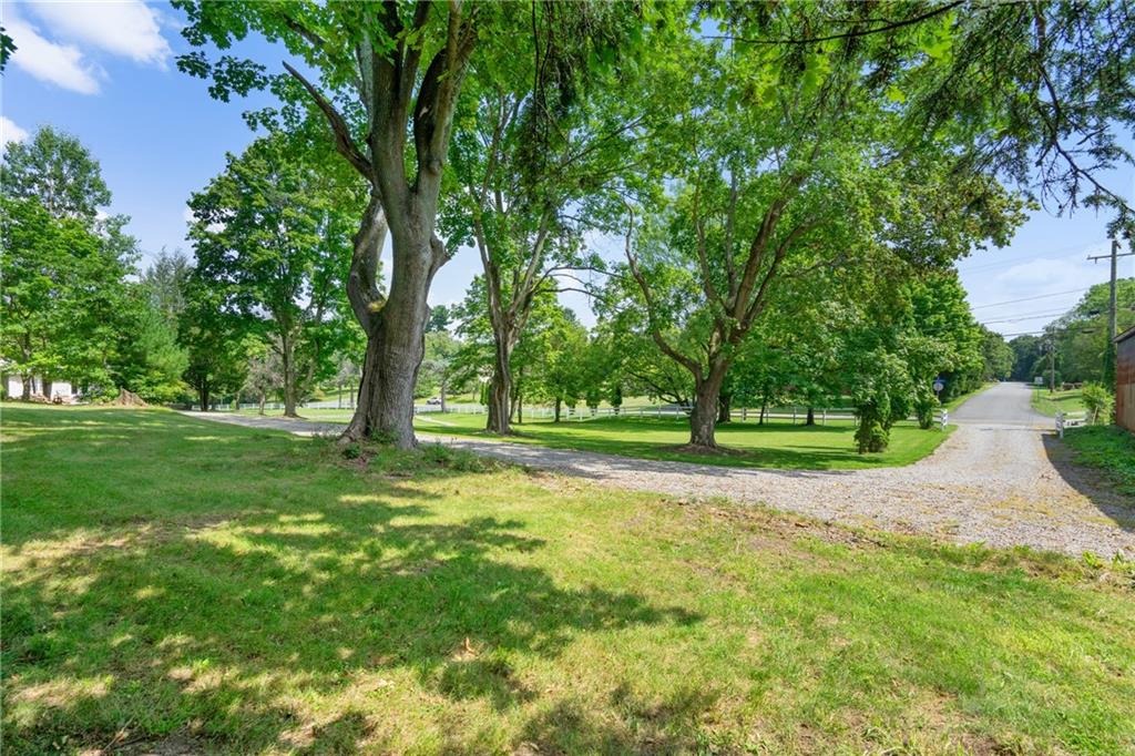 124 McBride Hill Road Butler, PA 16002 - Photo 10 of 41 a view of backyard with green space