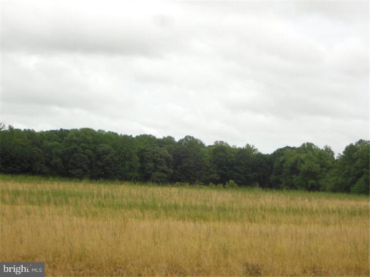 1082 Gum Tree Corner Road Greenwich, NJ 08323 - Photo 23 of 25 Gallery Image 23