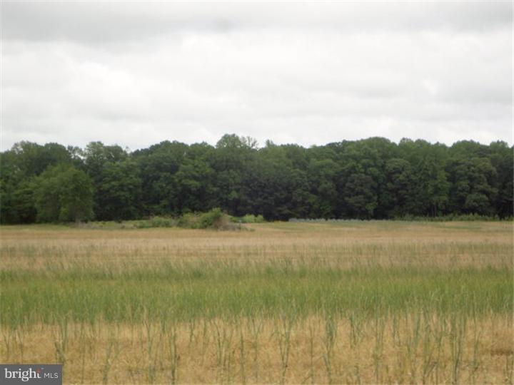 1082 Gum Tree Corner Road Greenwich, NJ 08323 - Photo 24 of 25 Gallery Image 24