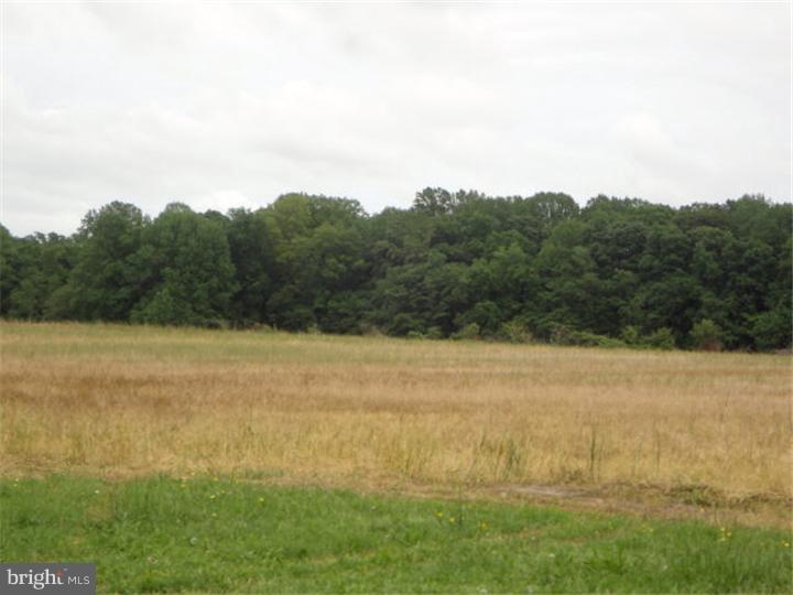 1082 Gum Tree Corner Road Greenwich, NJ 08323 - Photo 25 of 25 Gallery Image 25