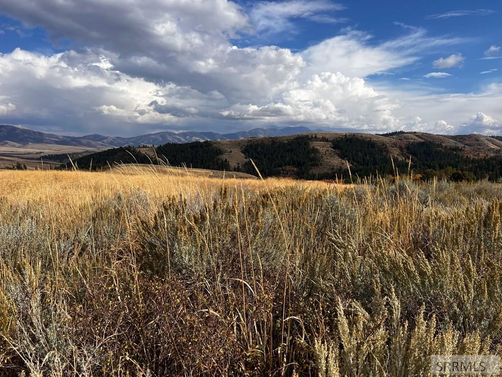 Lot 14 Panorama Road Pocatello, ID 83201 - Photo 12 of 15
