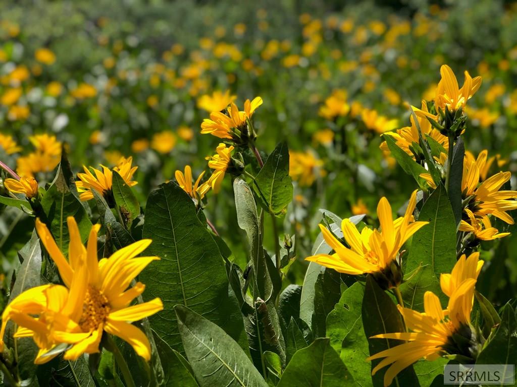 Lot 14 Panorama Road Pocatello, ID 83201 - Photo 15 of 15