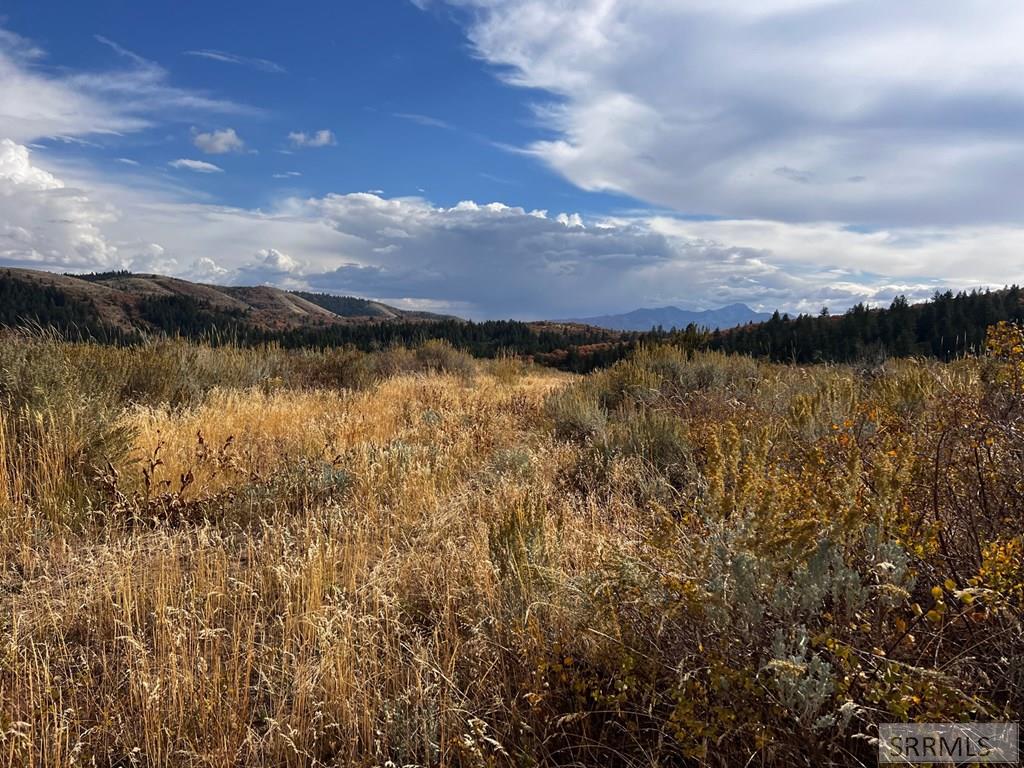 Lot 14 Panorama Road Pocatello, ID 83201 - Photo 10 of 15