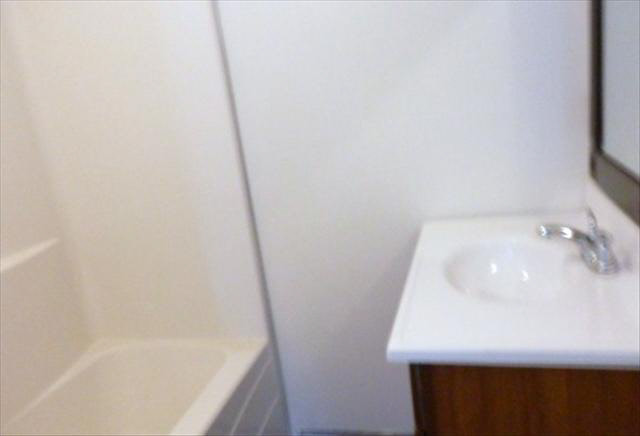 12256 North Suder Road Erie, MI 48133 - Photo 5 of 14 Master Full Bath