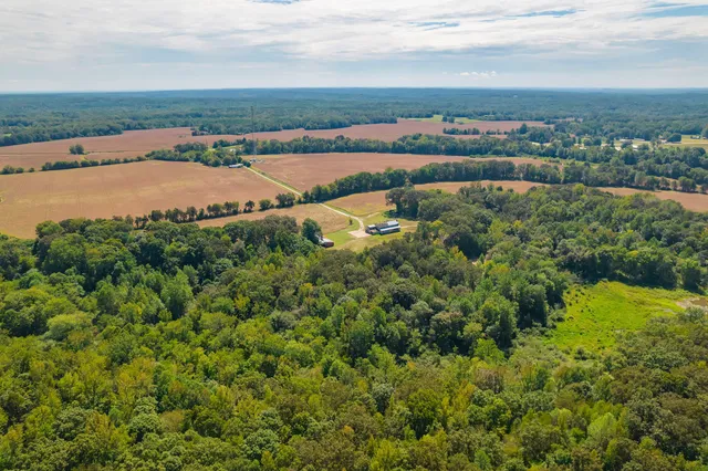 aerial view of a city