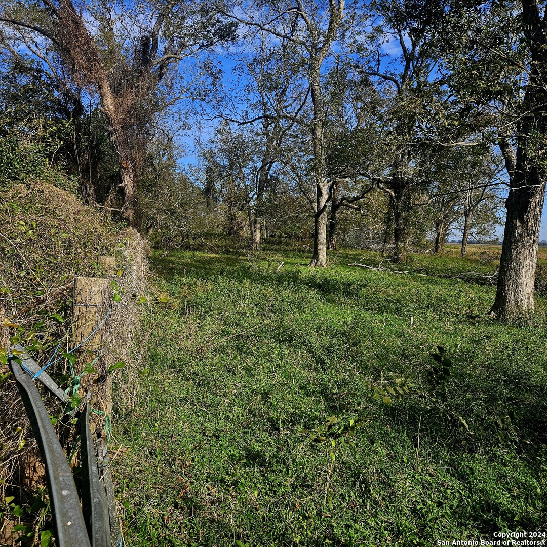Tbd Fm 640 Wharton, TX 77488 - Photo 12 of 15