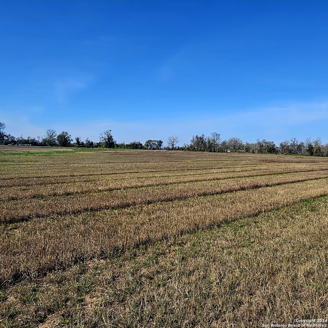 Tbd Fm 640 Wharton, TX 77488 - Photo 3 of 15