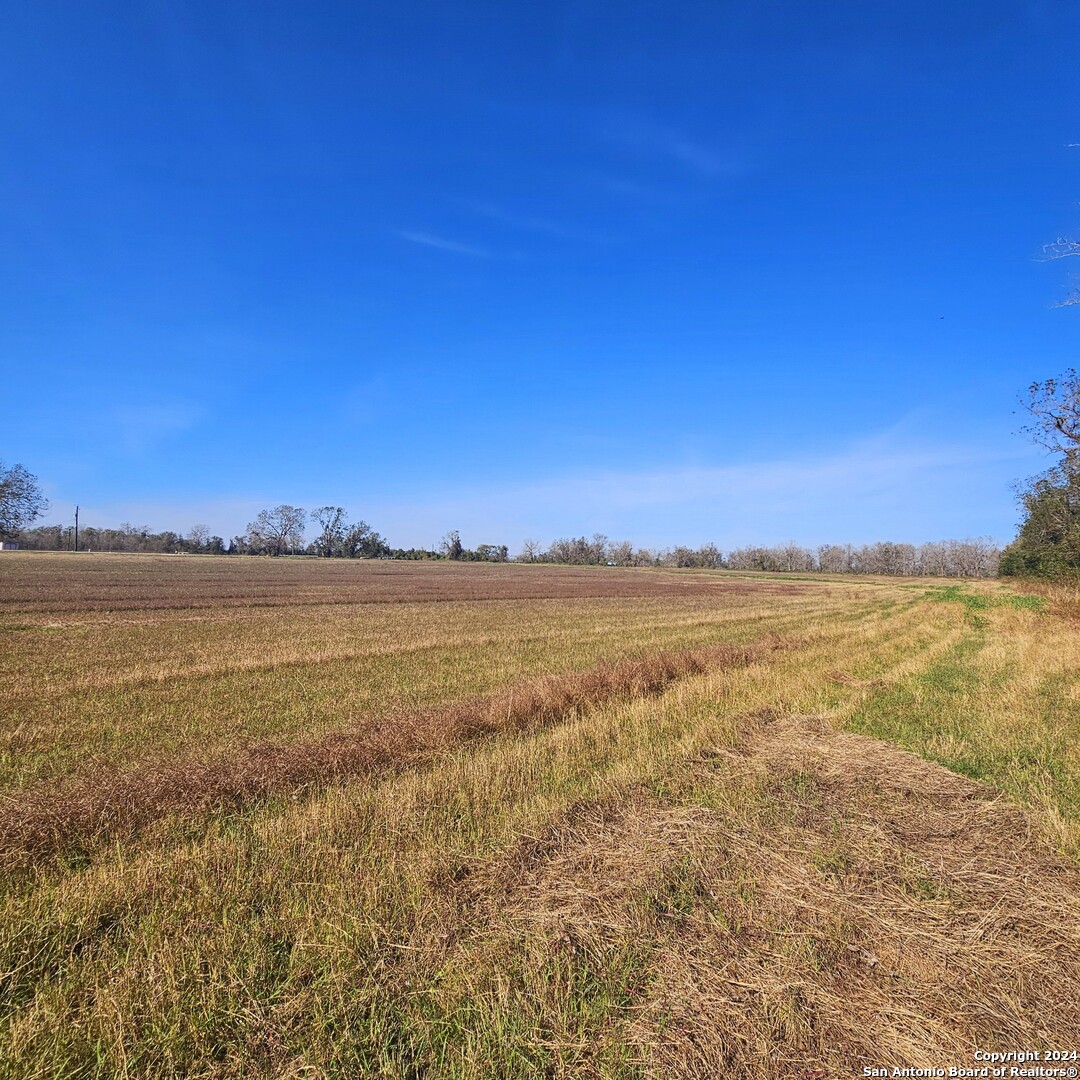 Tbd Fm 640 Wharton, TX 77488 - Photo 10 of 15