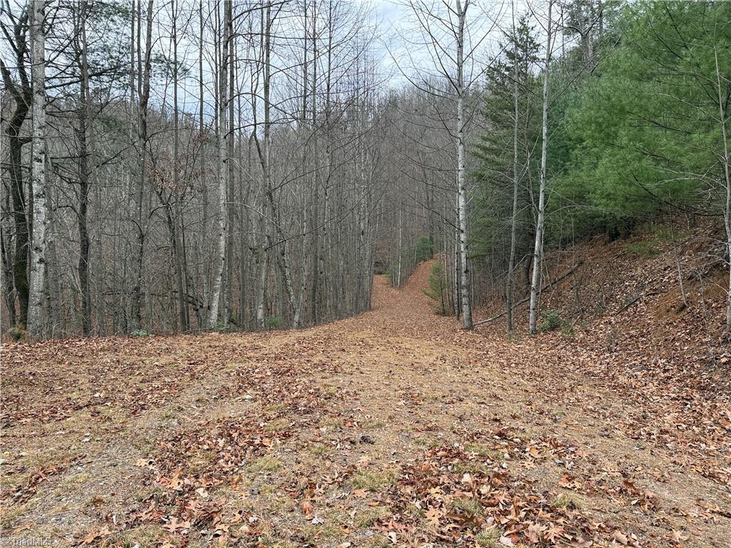 Lot 218 Casey Mountain Road Purlear, NC 28665 - Photo 22 of 42 Road from Potential Building Site #2 to the pond