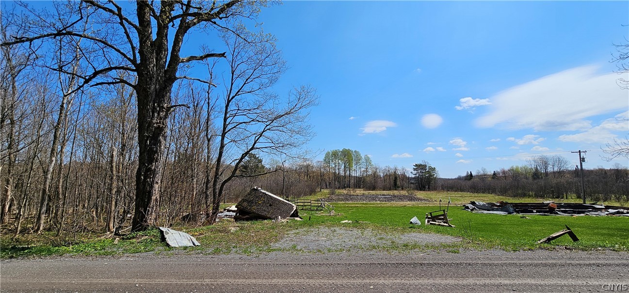 8098 Mc Gowan Road Pinckney, NY 13626 - Photo 3 of 7