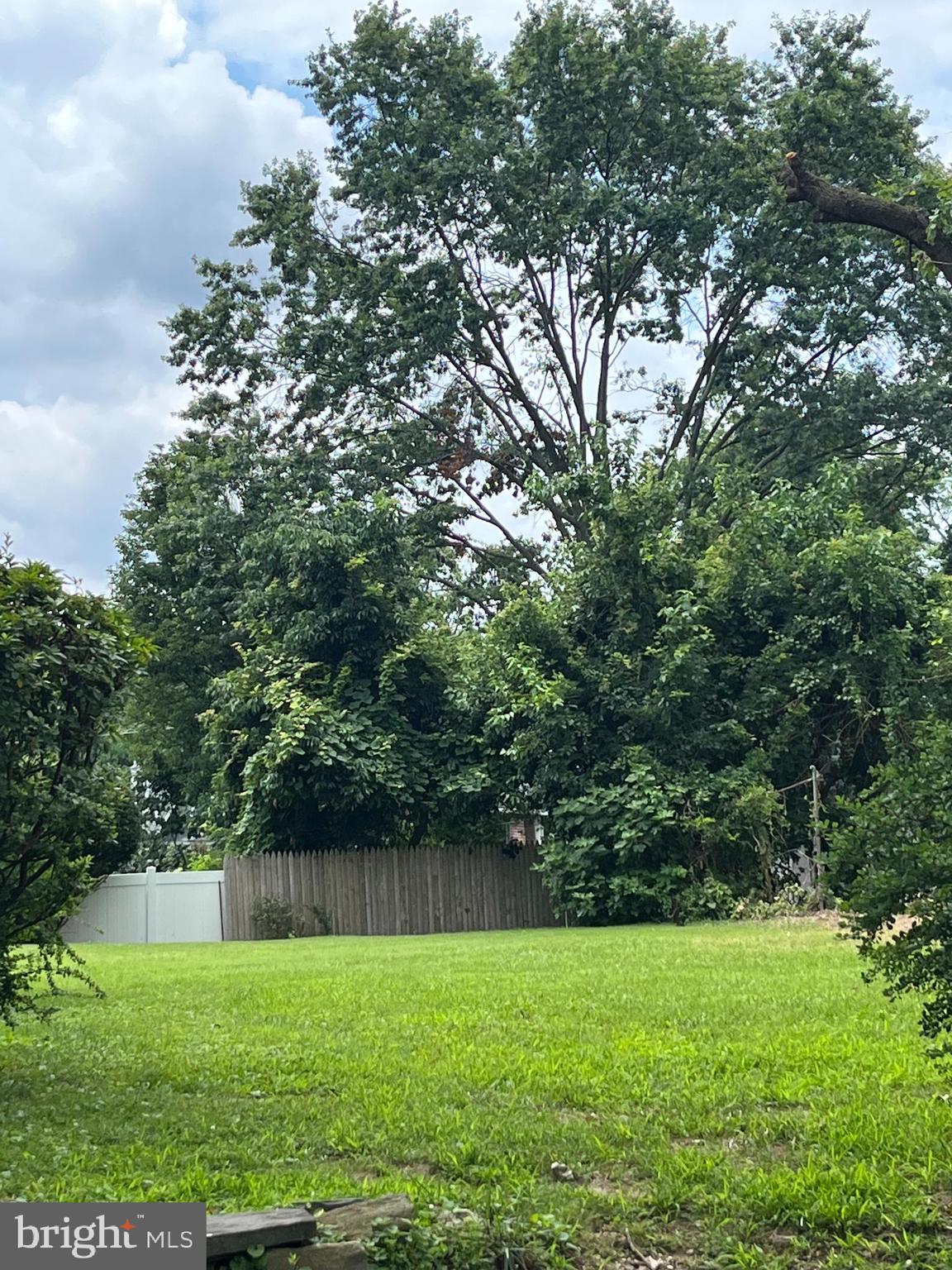 7514 Culp Street Philadelphia, PA 19128 - Photo 8 of 8 a view of backyard with green space