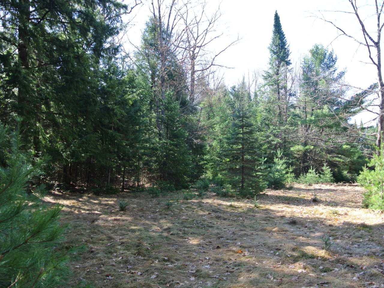 7396 Krueger Road Three Lakes, WI 54562 - Photo 2 of 8 Gallery Image 2