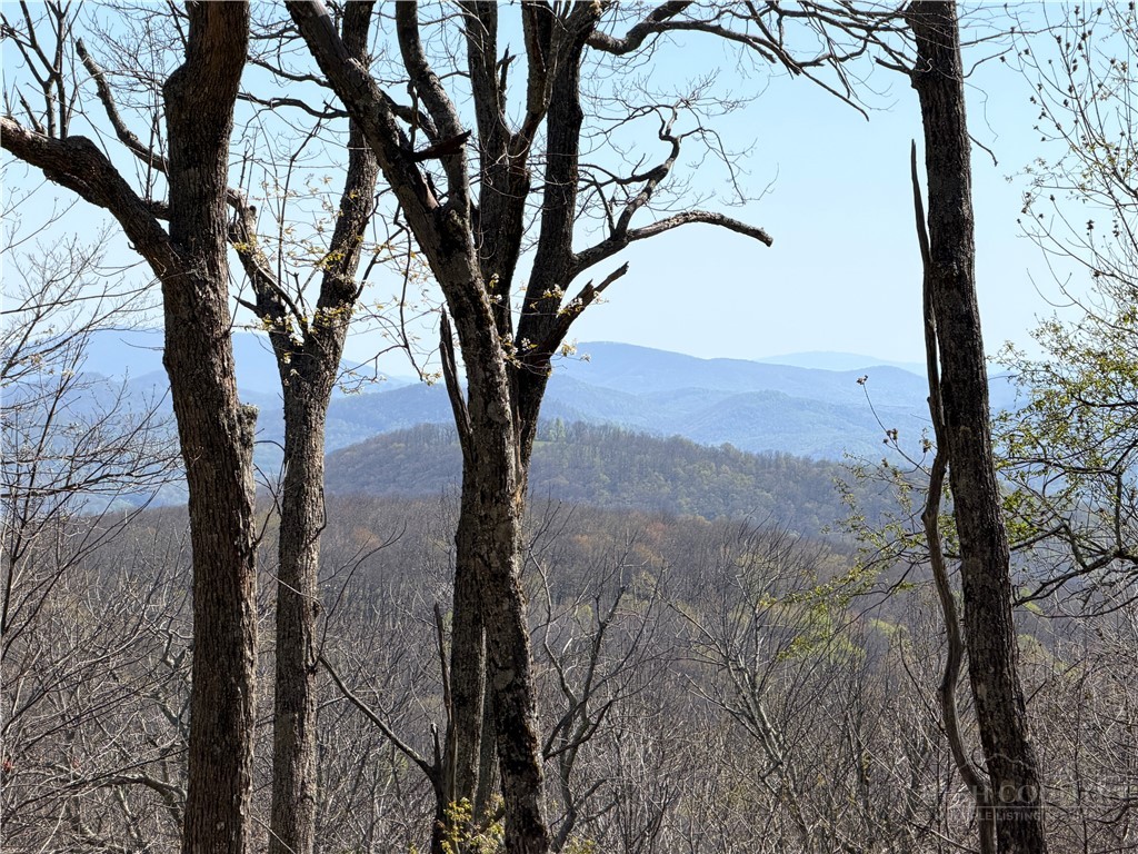 536 Boone Ridge Lane Boone, NC 28607 - Photo 3 of 50 a view of a tree in the middle of a yard