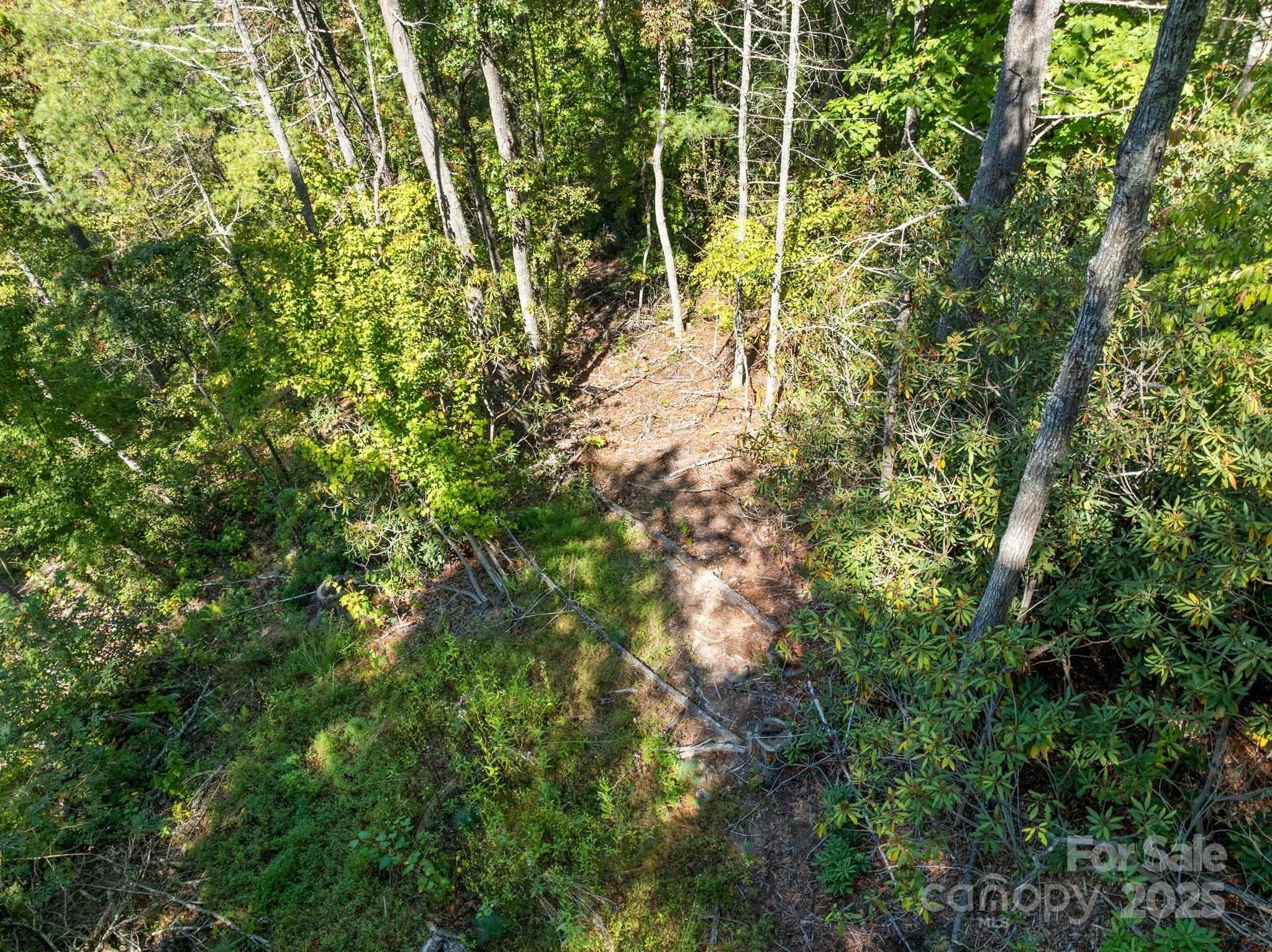 Tbd Anson G Betts Road Marshall, NC 28753 - Photo 11 of 16 a view of a yard