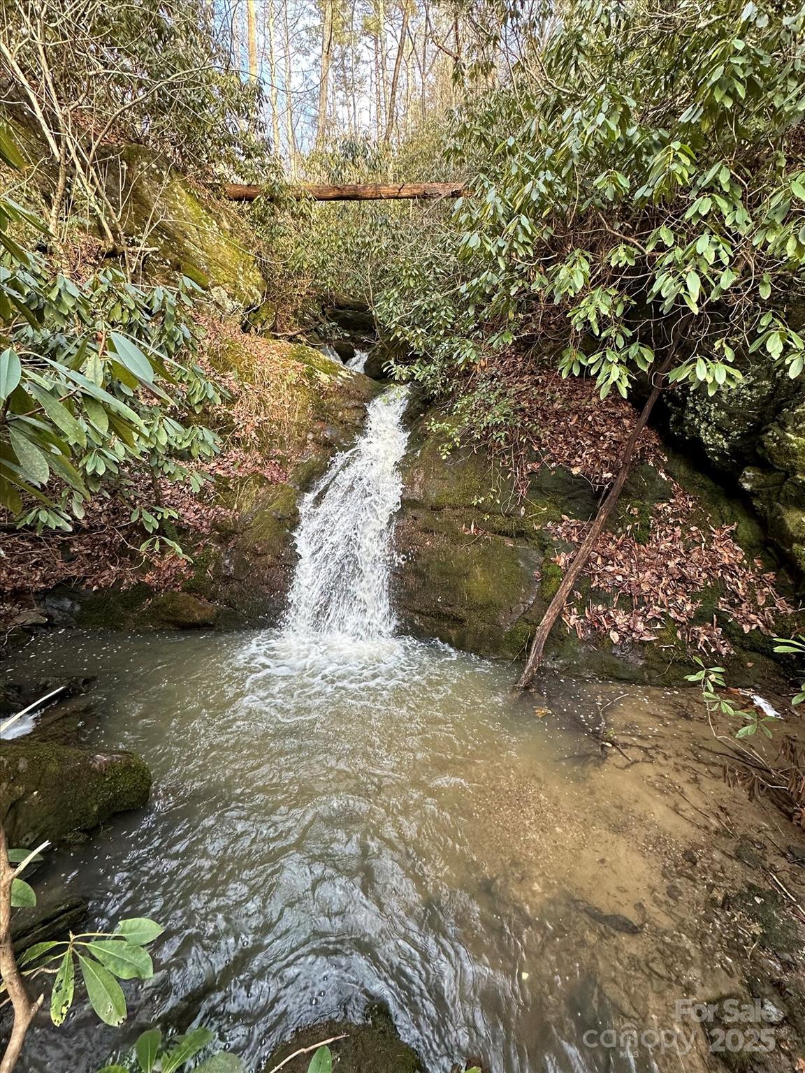 Tbd Anson G Betts Road Marshall, NC 28753 - Photo 14 of 16 a view of lake