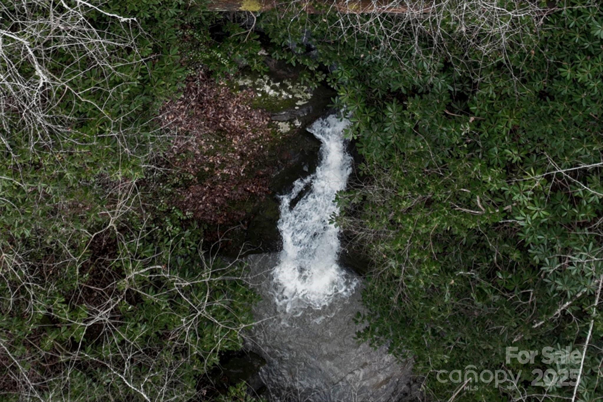 Tbd Anson G Betts Road Marshall, NC 28753 - Photo 15 of 16 a view of a yard of a building