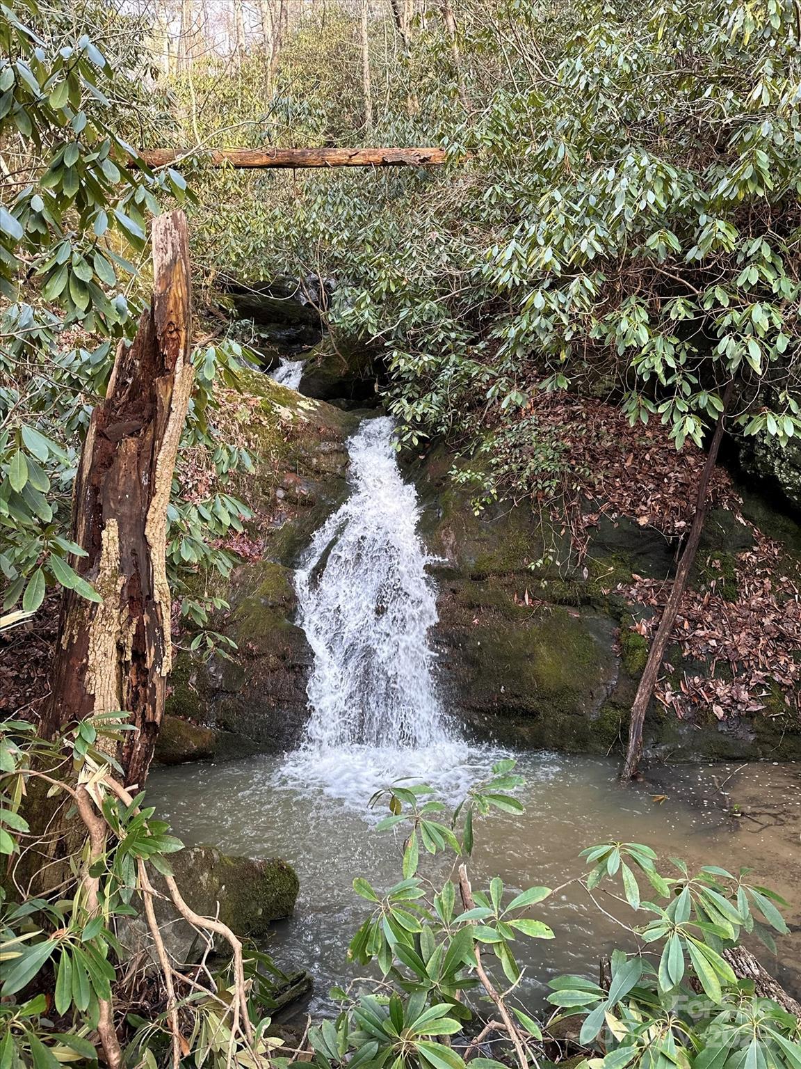 Tbd Anson G Betts Road Marshall, NC 28753 - Photo 16 of 16