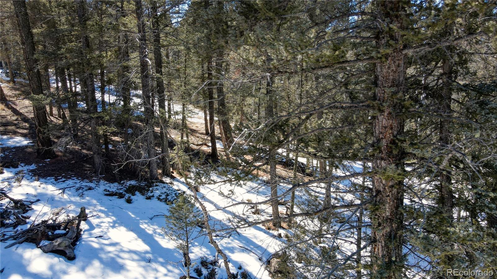 161 Pinewood Road Florissant, CO 80816 - Photo 12 of 22