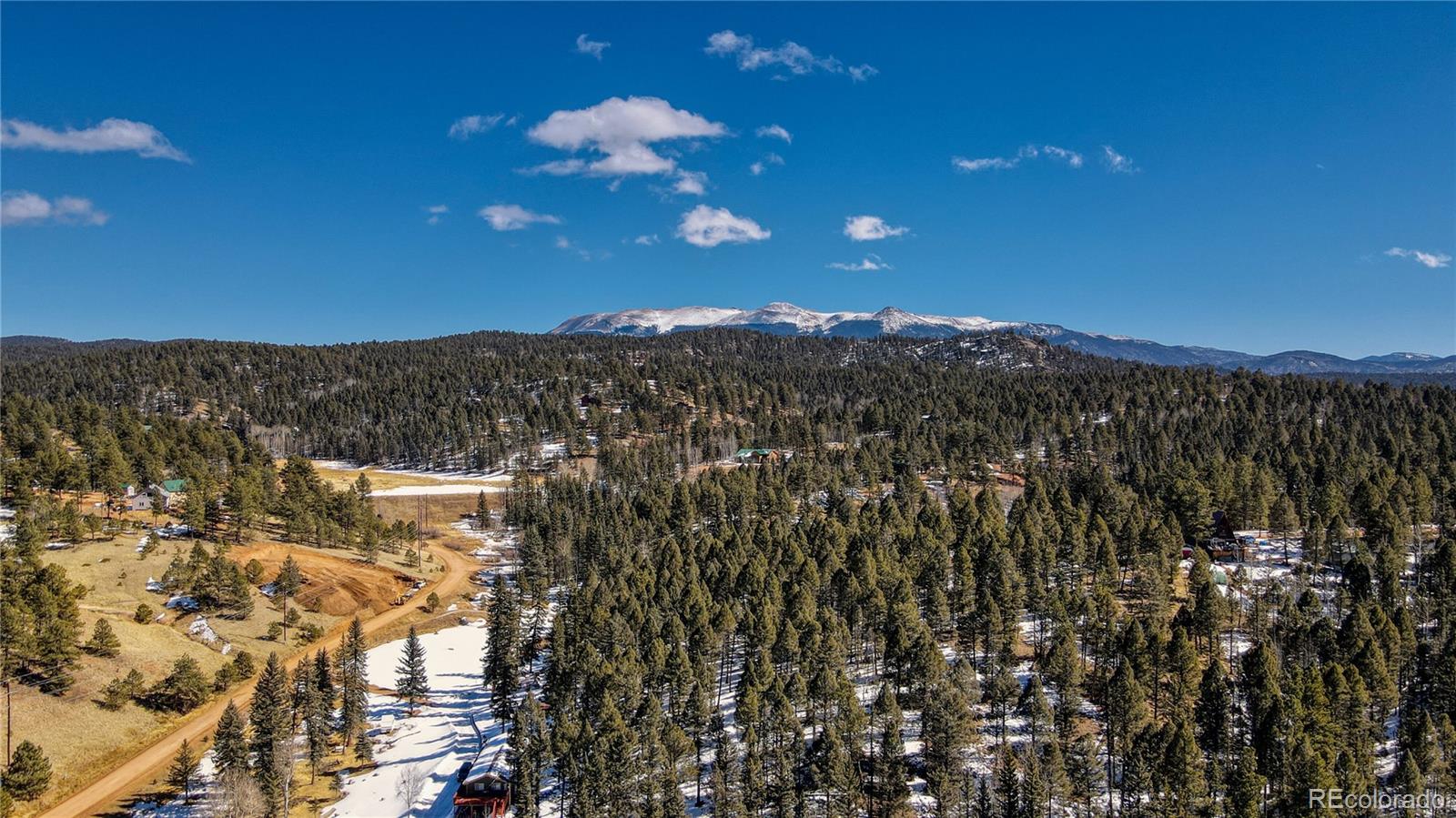 161 Pinewood Road Florissant, CO 80816 - Photo 13 of 22