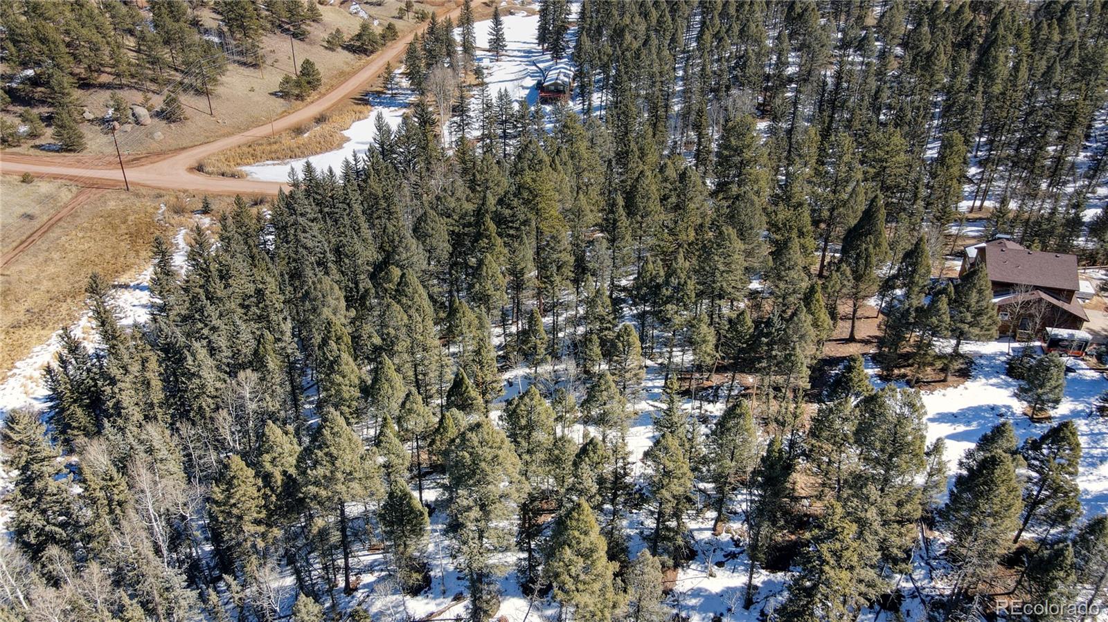 161 Pinewood Road Florissant, CO 80816 - Photo 14 of 22