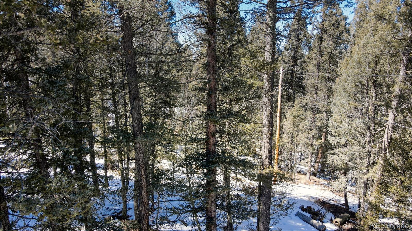 161 Pinewood Road Florissant, CO 80816 - Photo 15 of 22