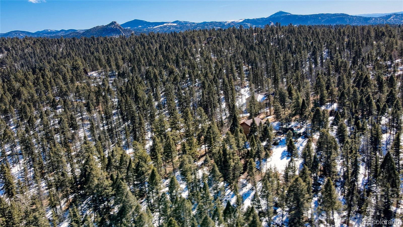 161 Pinewood Road Florissant, CO 80816 - Photo 16 of 22