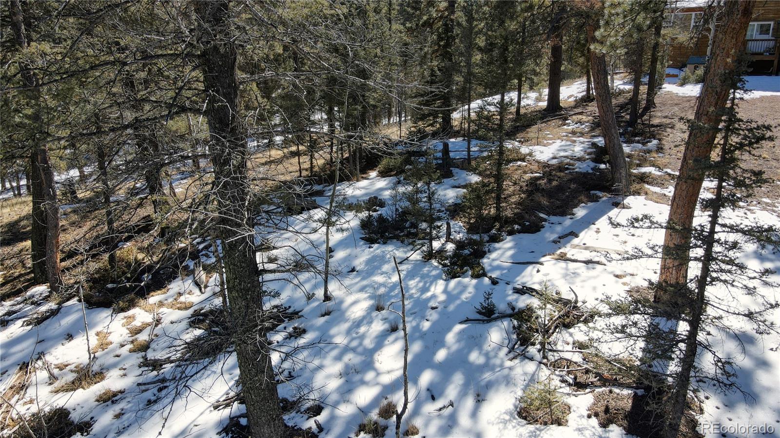 161 Pinewood Road Florissant, CO 80816 - Photo 17 of 22