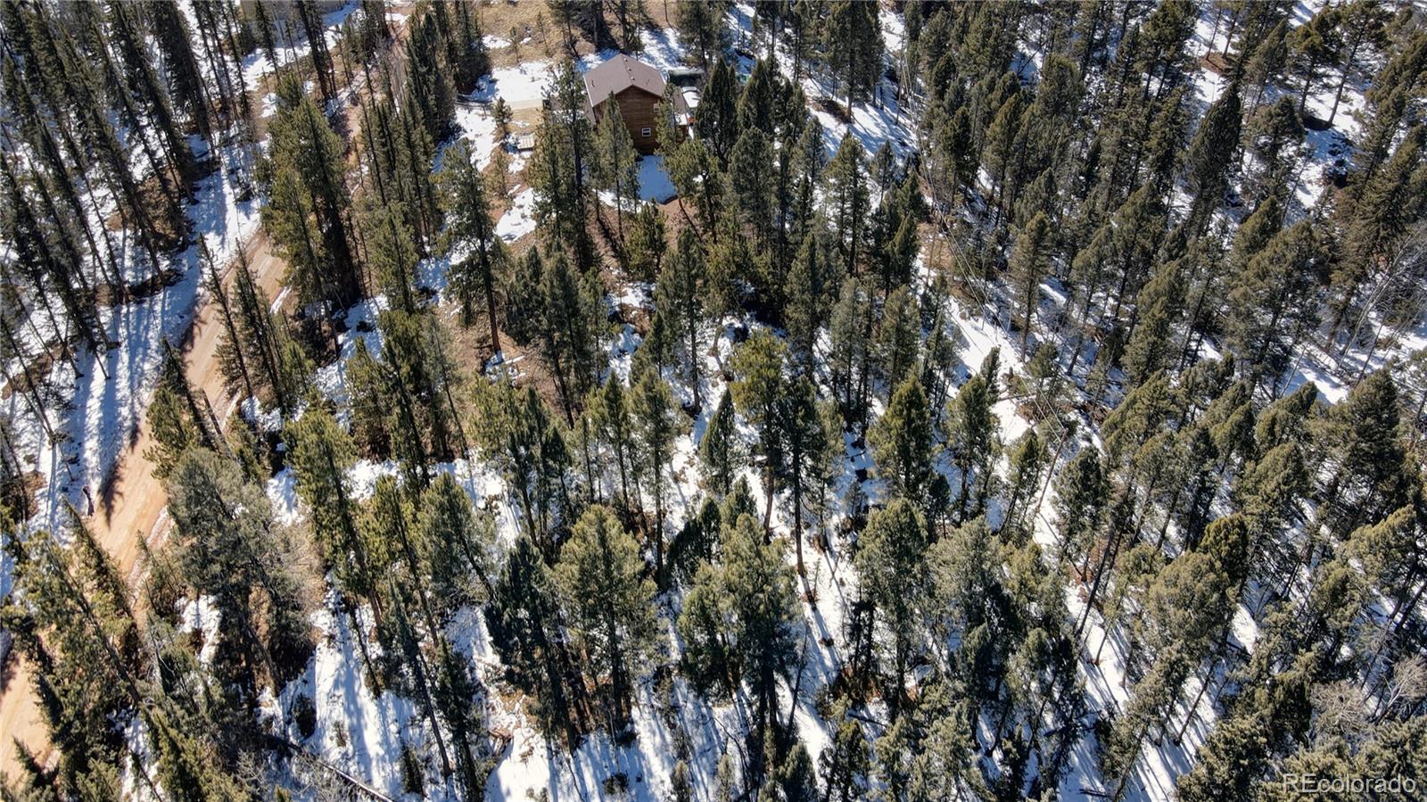 161 Pinewood Road Florissant, CO 80816 - Photo 2 of 22