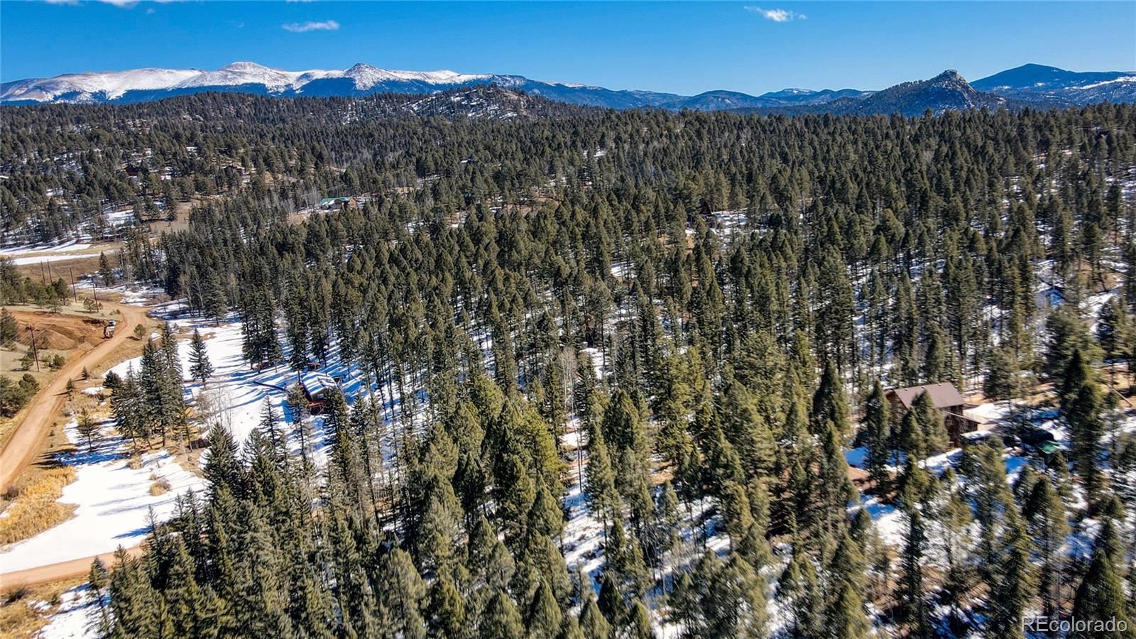 161 Pinewood Road Florissant, CO 80816 - Photo 5 of 22