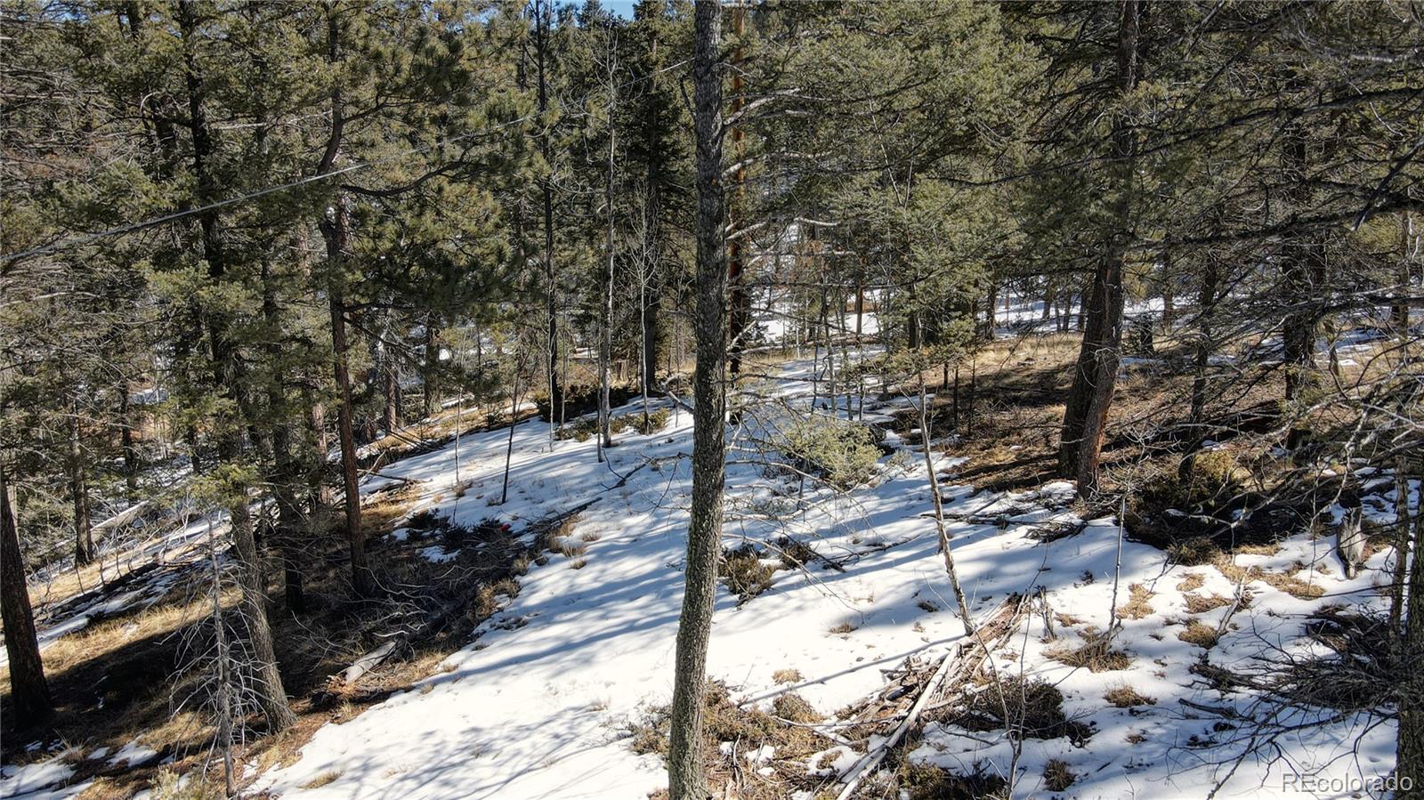 161 Pinewood Road Florissant, CO 80816 - Photo 6 of 22