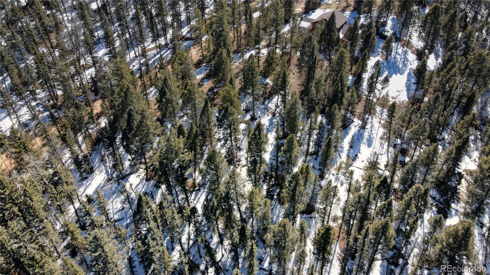 161 Pinewood Road Florissant, CO 80816 - Photo 7 of 22