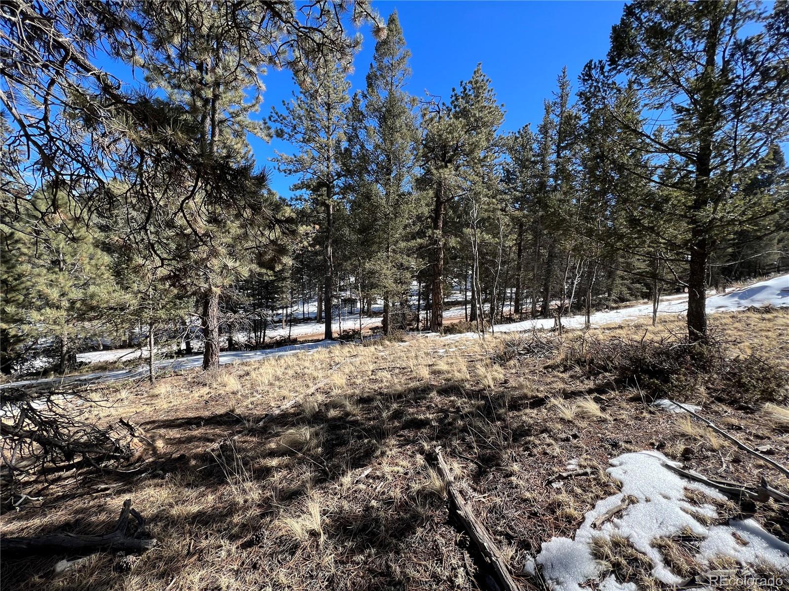 161 Pinewood Road Florissant, CO 80816 - Photo 9 of 22