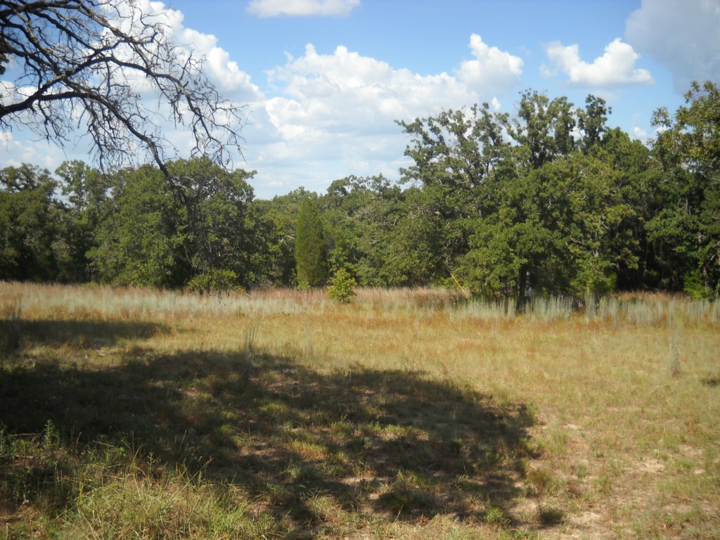 337 Gruetzner Lane Elgin, TX 78621 - Photo 1 of 1 a view of lake with green space
