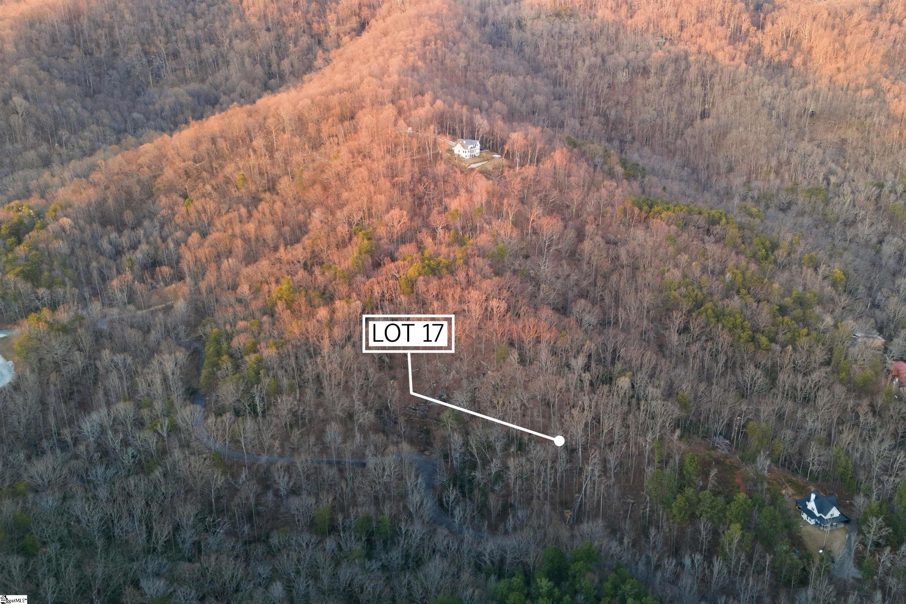 Hidden Glory Drive Landrum, SC 29356 - Photo 11 of 20