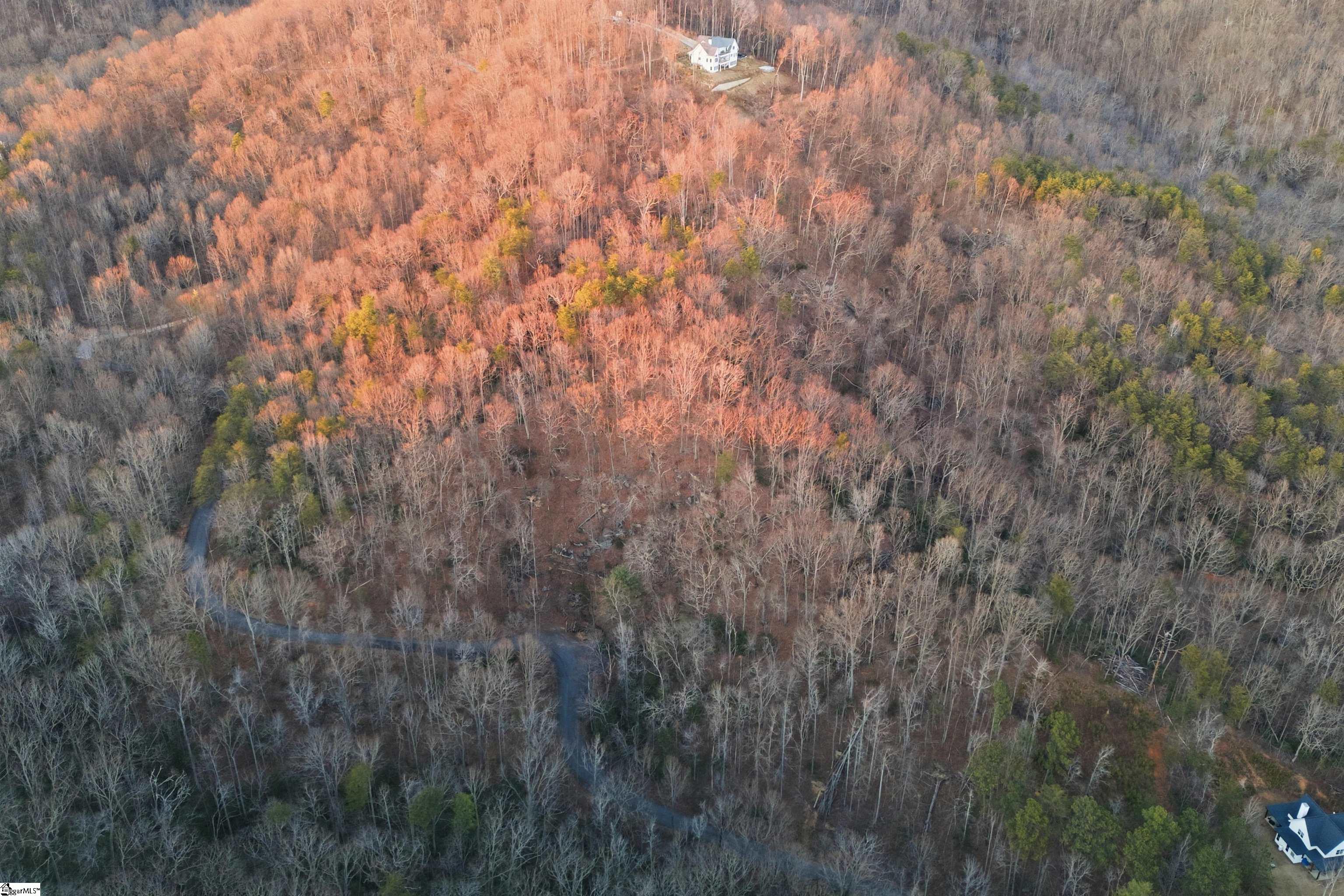 Hidden Glory Drive Landrum, SC 29356 - Photo 12 of 20