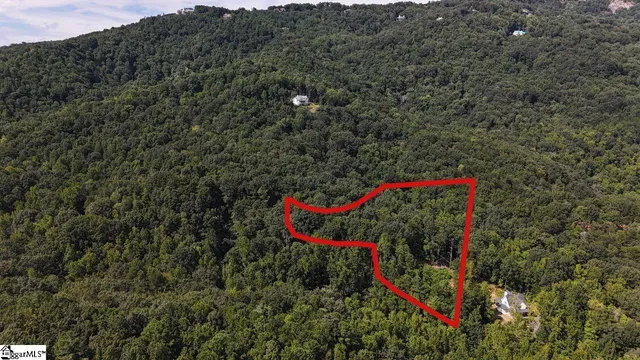 $1,224,900 | Hidden Glory Drive, Landrum, SC 29356