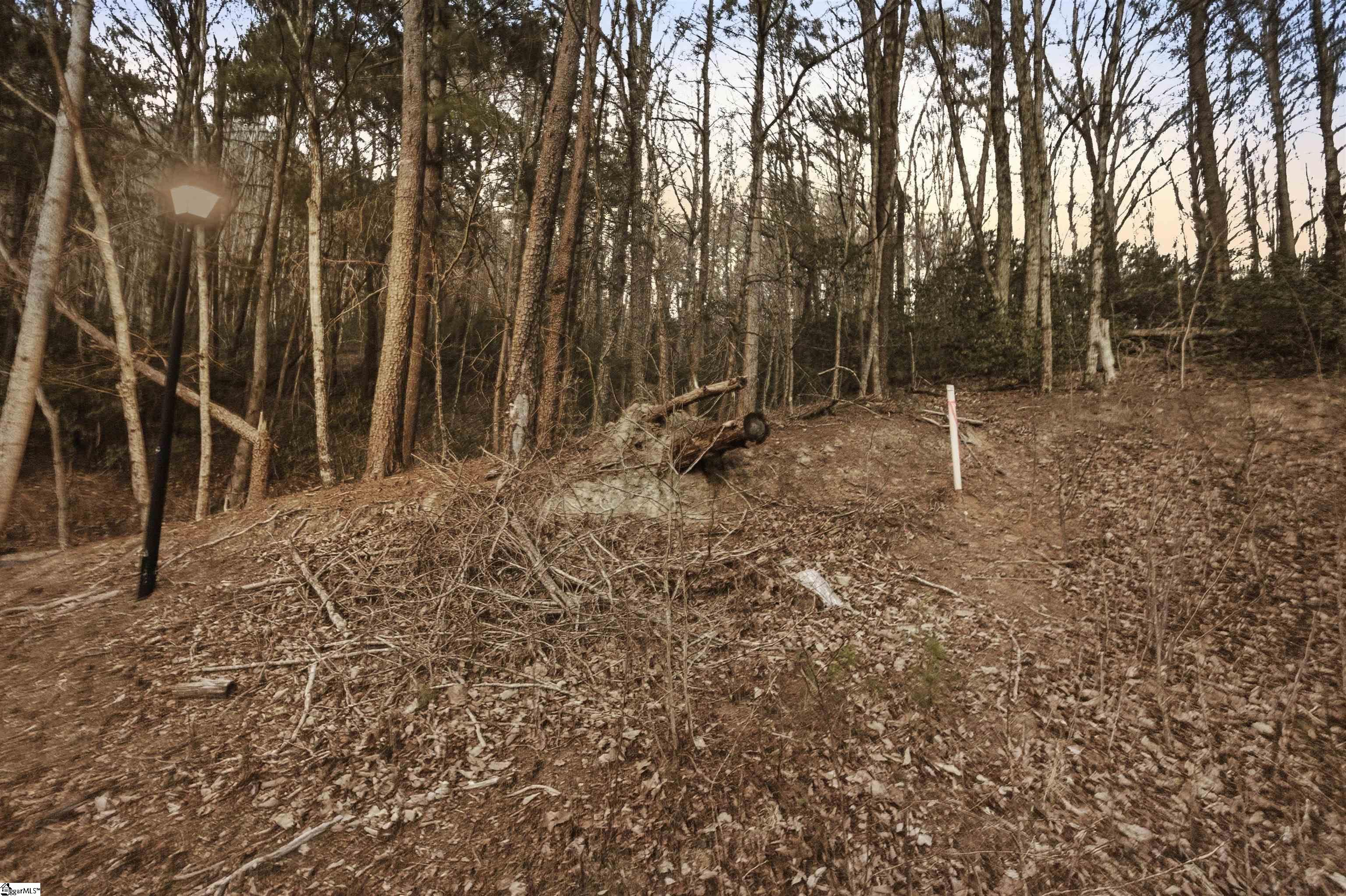 Hidden Glory Drive Landrum, SC 29356 - Photo 4 of 20