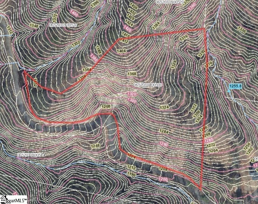 Hidden Glory Drive Landrum, SC 29356 - Photo 7 of 7