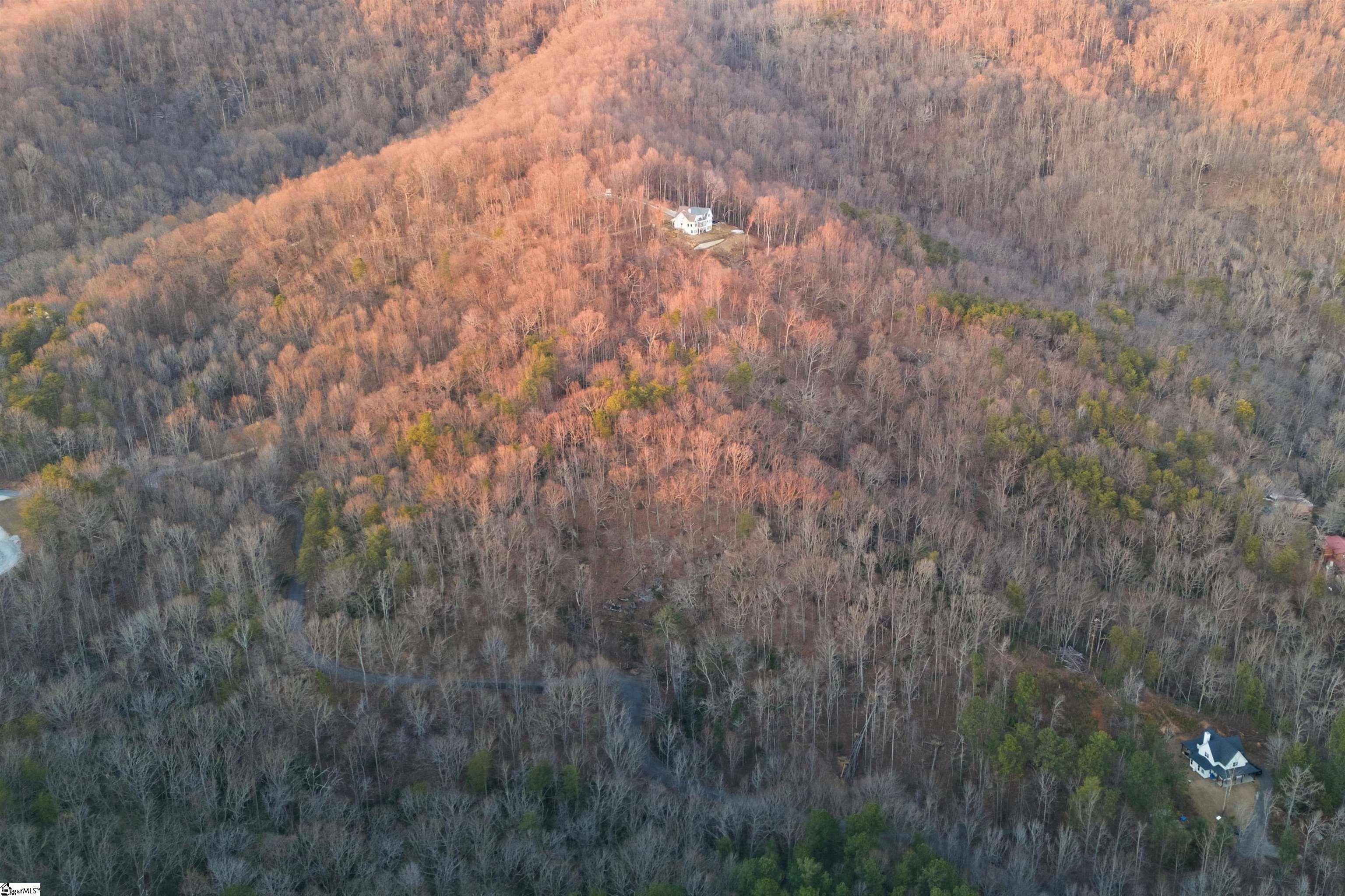 Hidden Glory Drive Landrum, SC 29356 - Photo 10 of 20