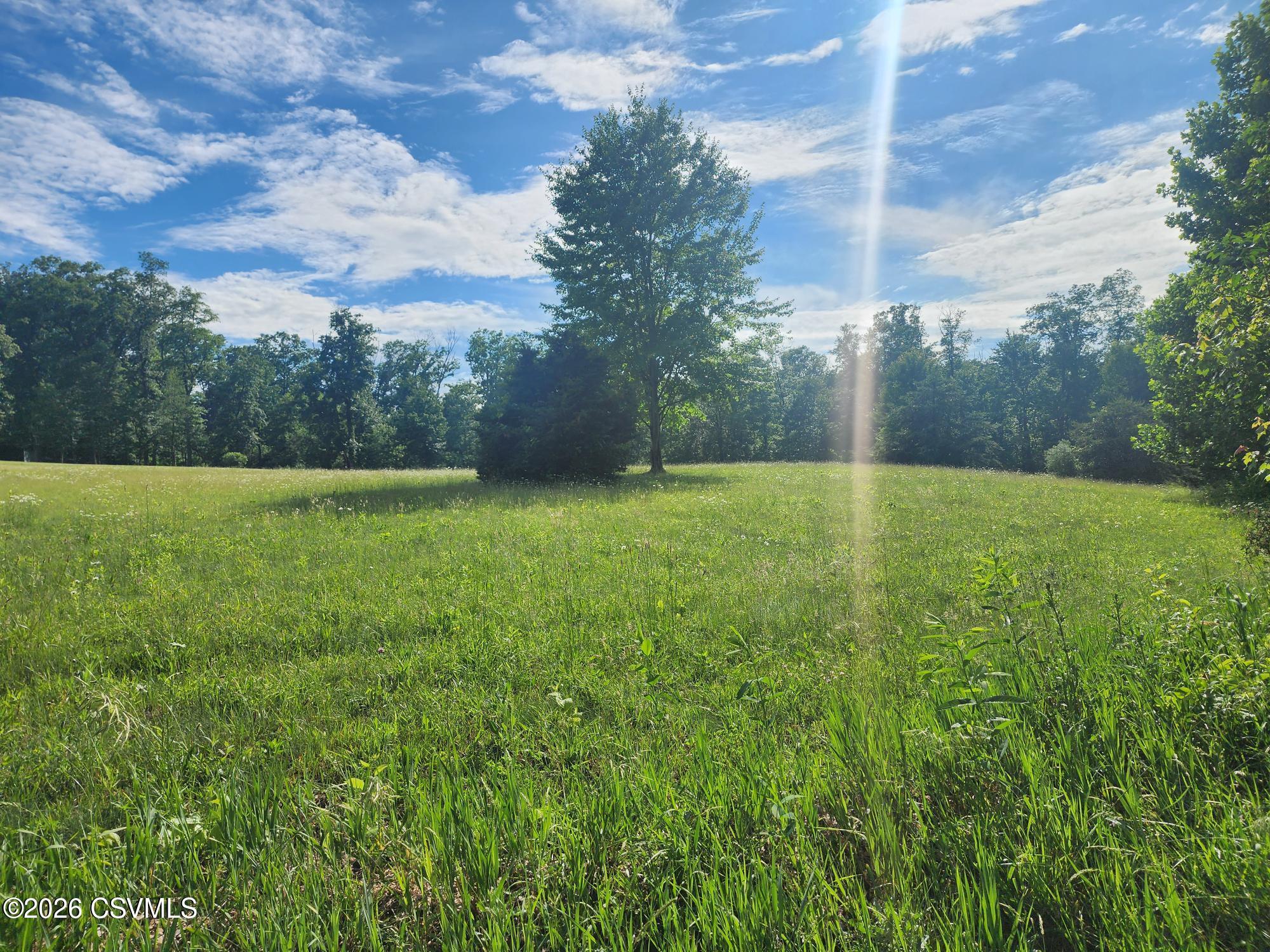 Lot #2 Shamrock Road Paxinos, PA 17860 - Photo 2 of 2