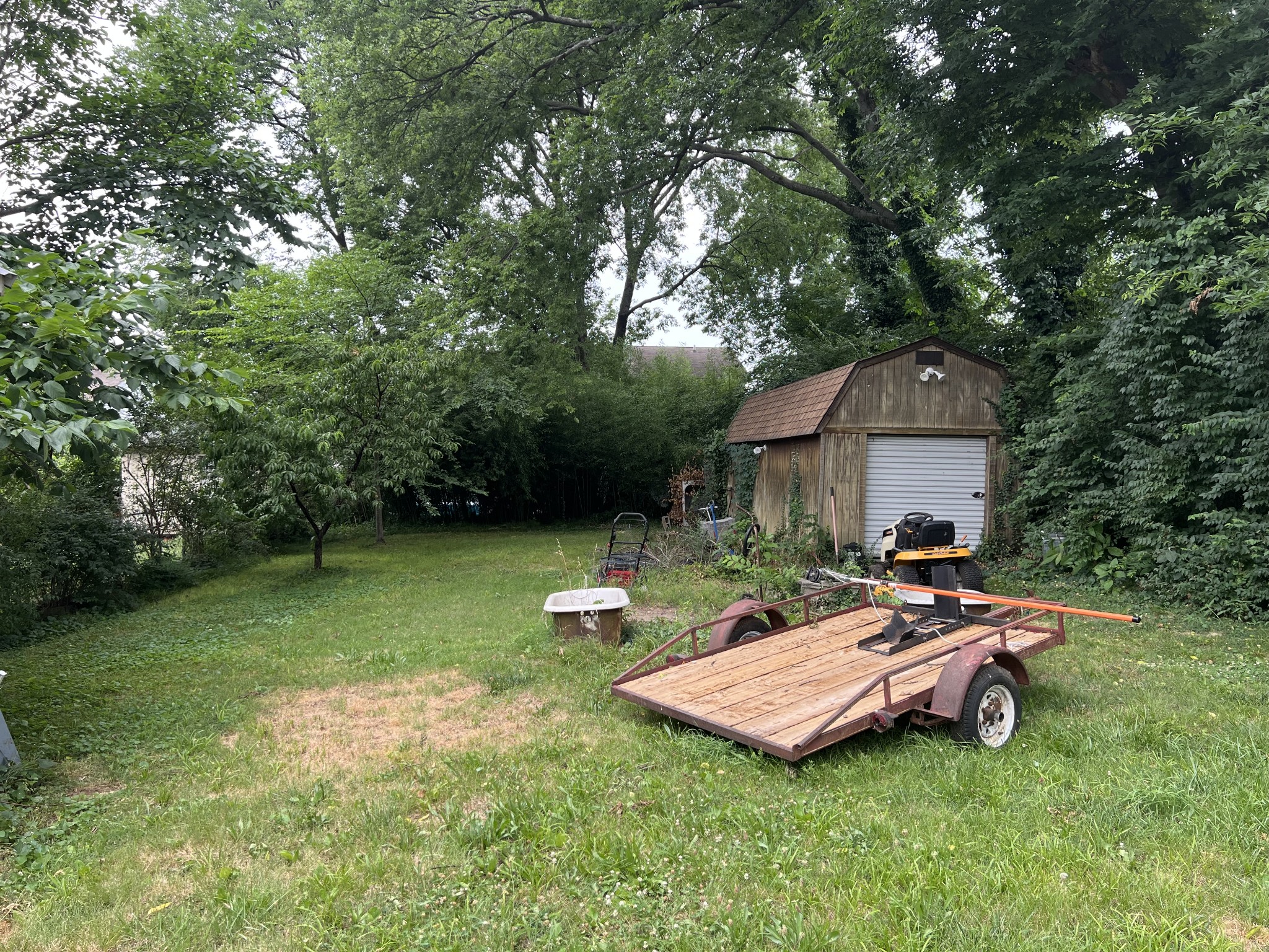 104 Lanier Drive Madison, TN 37115 - Photo 5 of 20 a view of a house with backyard and a tree