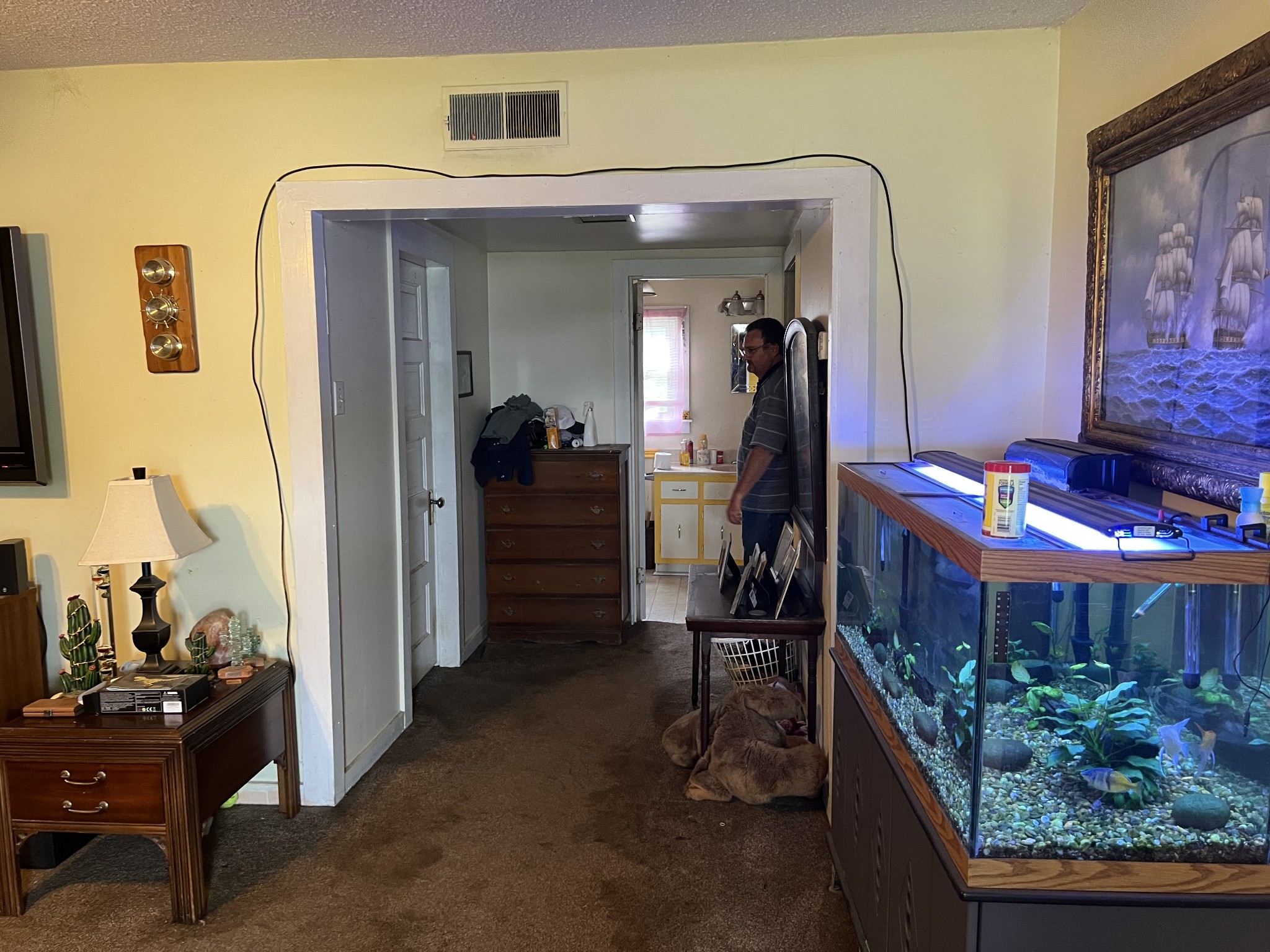 104 Lanier Drive Madison, TN 37115 - Photo 9 of 20 a view of a gallery with couch